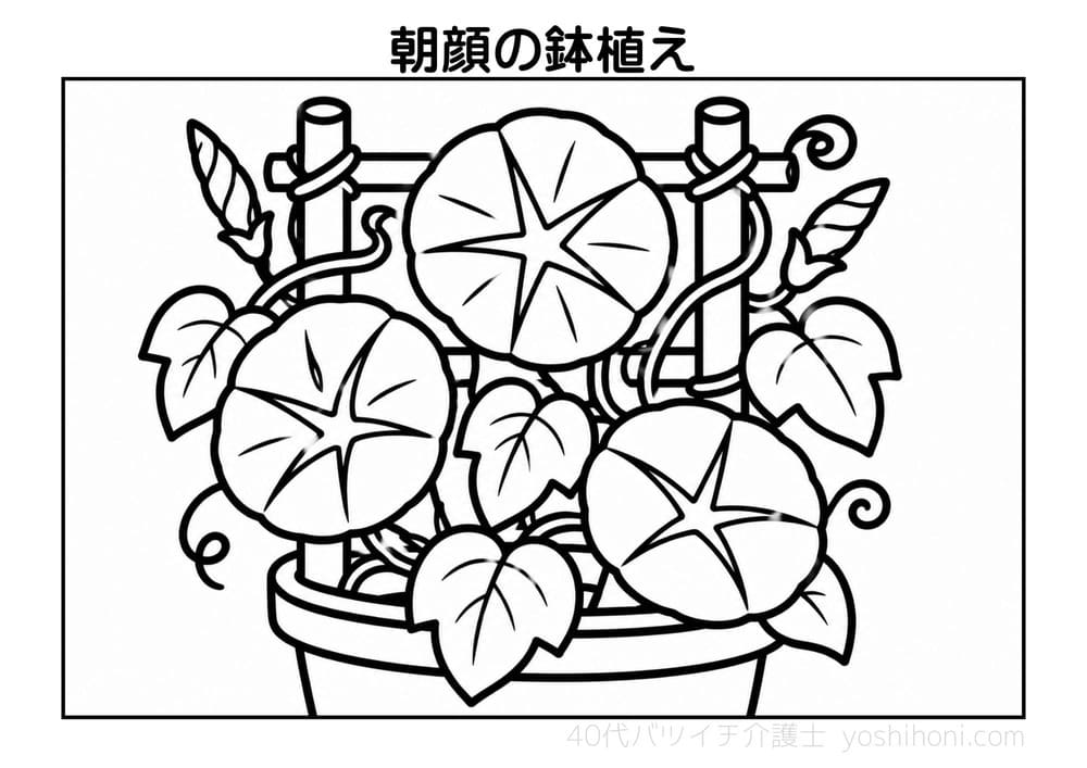 朝顔の鉢植えの高齢者向け塗り絵(太線・シンプル)- よしほに